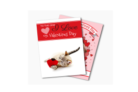 Greeting Cards